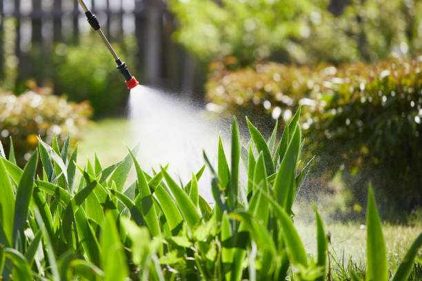24/7 Emergency Cockroach Control experts in Lutherville, MD