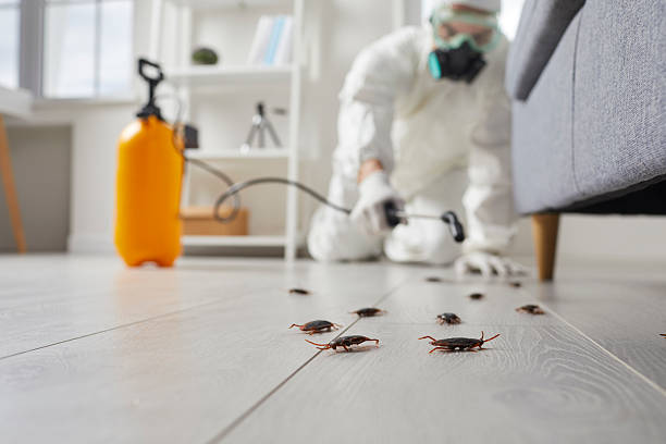 Trusted Termite Control service in Lutherville, MD - Nex Pest Control